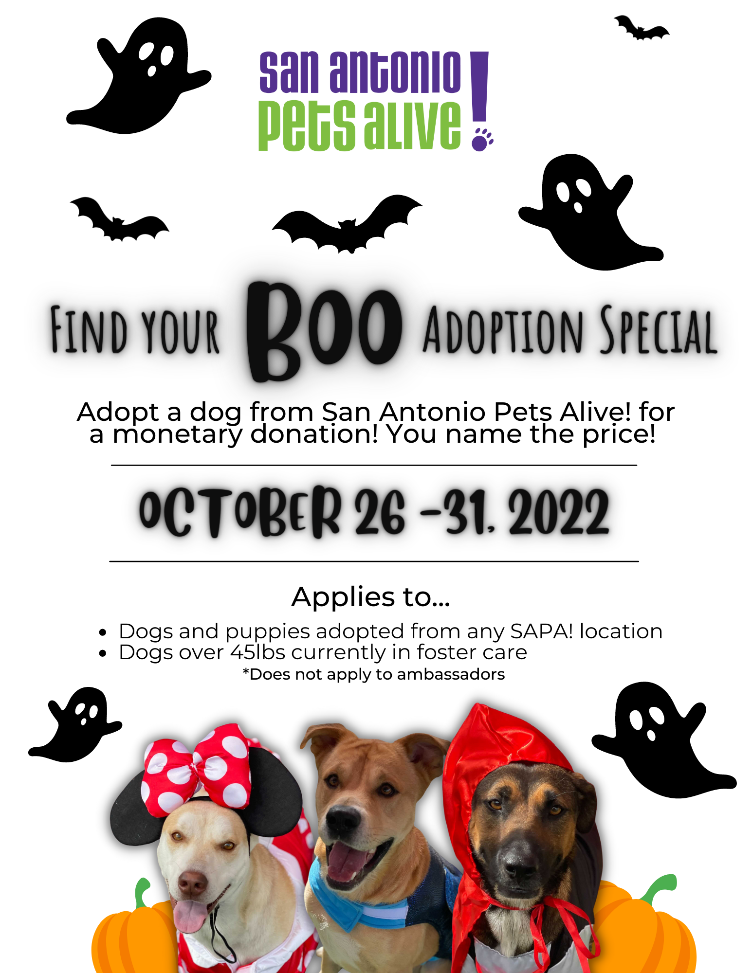 Find Your Boo Adoption Special